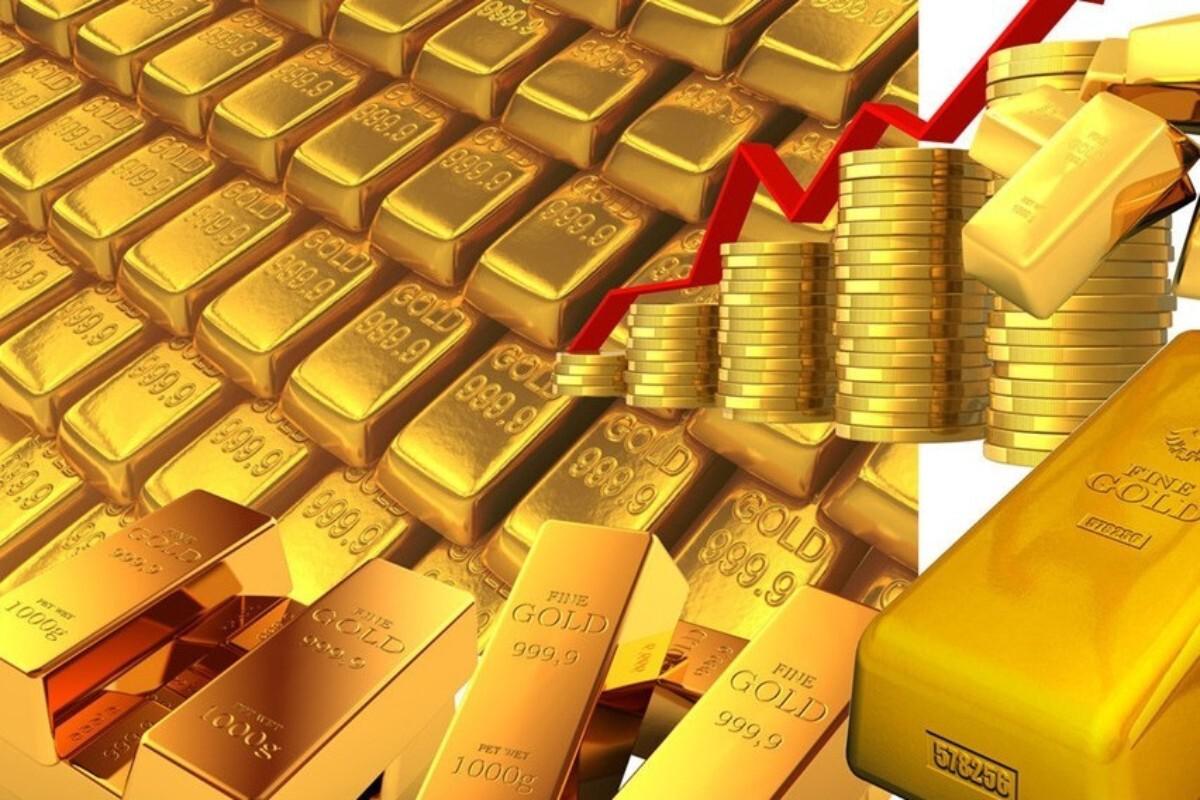 What happened to the Dogecoin whales suddenly going silent?